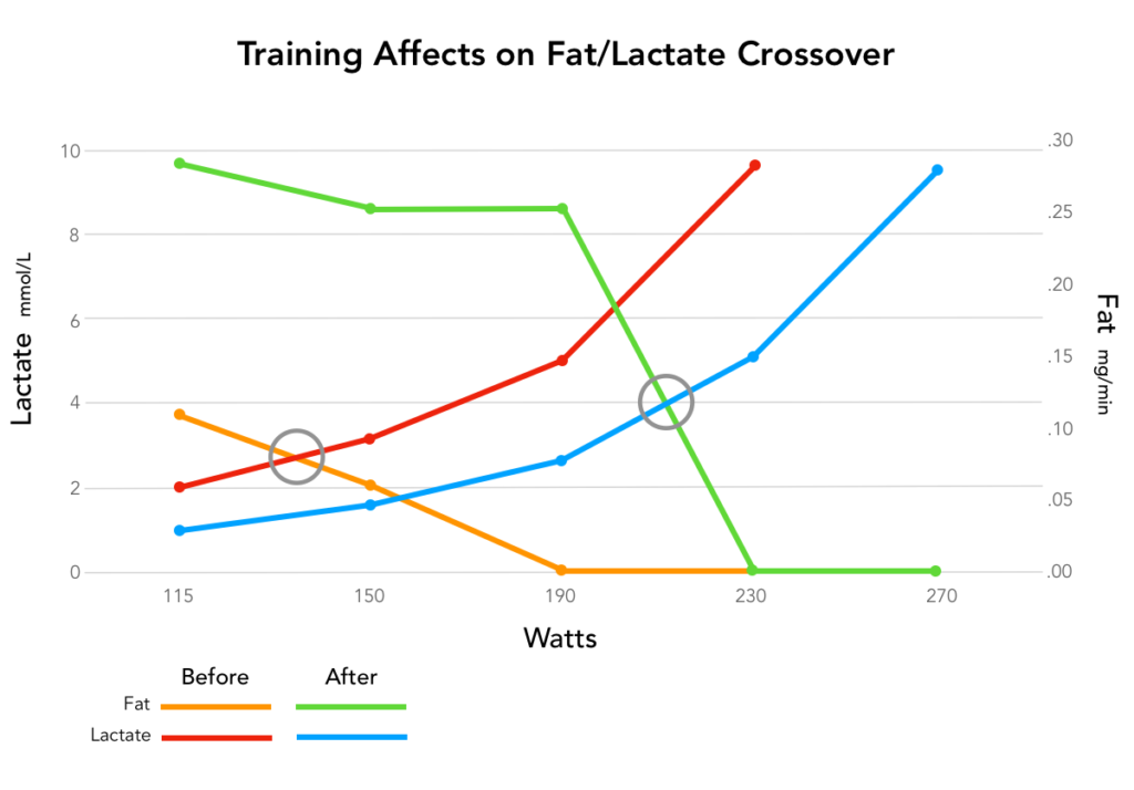 Fat oxidation vs lactate production following 3 months of zone 2 training